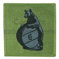 10 Signal Regiment TRF Army Patch, Subdued