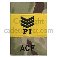 Army Cadet Force Army Rank Slides, PI Sergeant, MTP