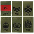 ACF Adult Instructor Rank Slides, Olive Green