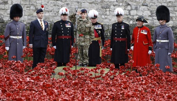 CCF Cadet places final poppy at Tower of London Parade