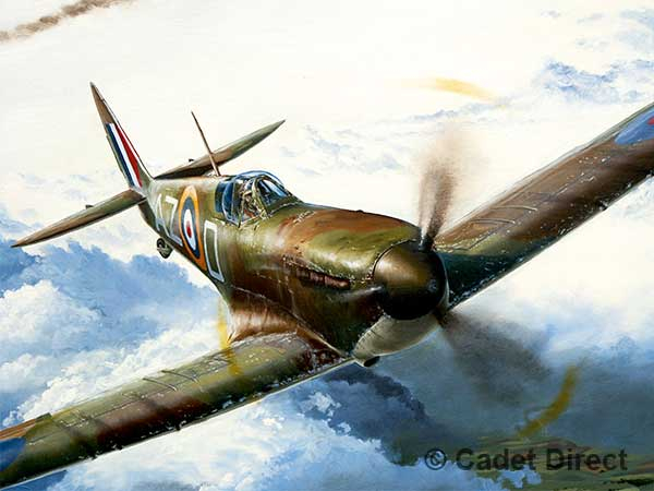 Battle of Britain Pilot