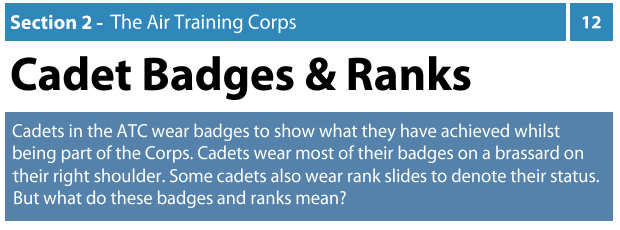 Air Cadet Badges and Ranks