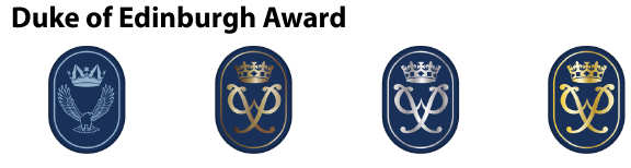 air cadet dofe badges