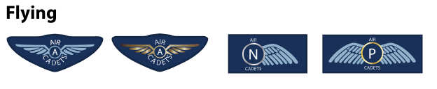 air cadet flying badges