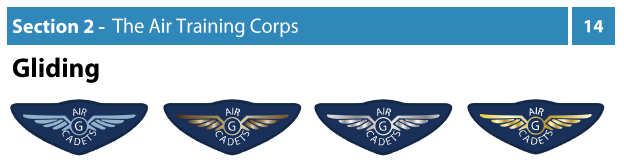 air cadet gliding badges