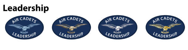 air cadet leadership badges