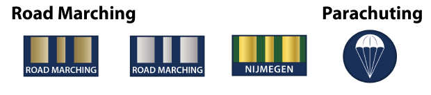 air cadet road marching badges