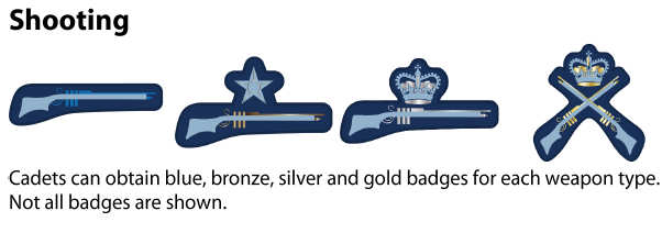 air cadet shooting badges