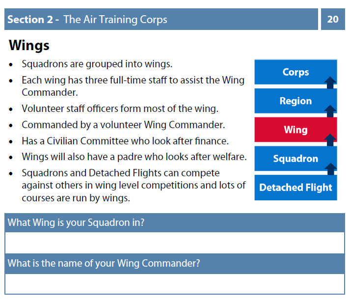 atc wings